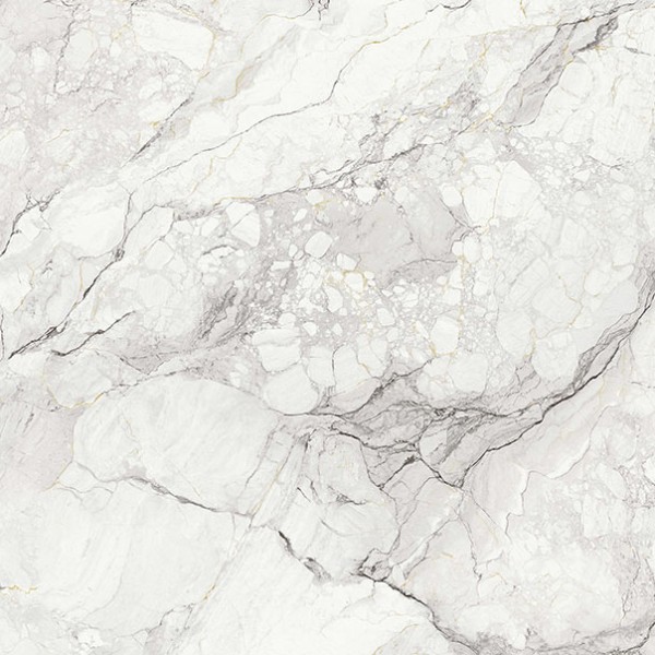 Camouflage - Book B Natural
